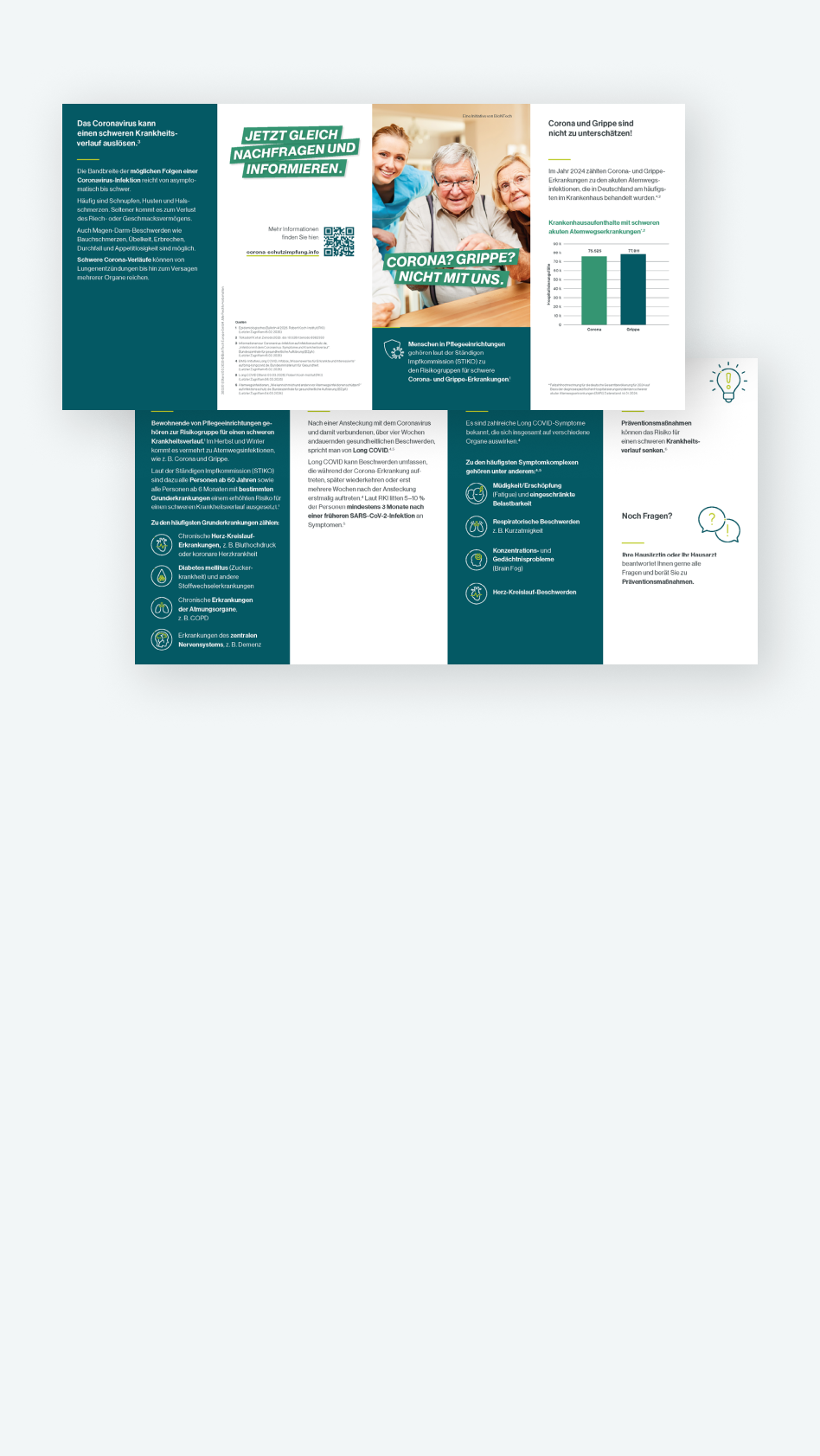 Bild des Grippeflyers