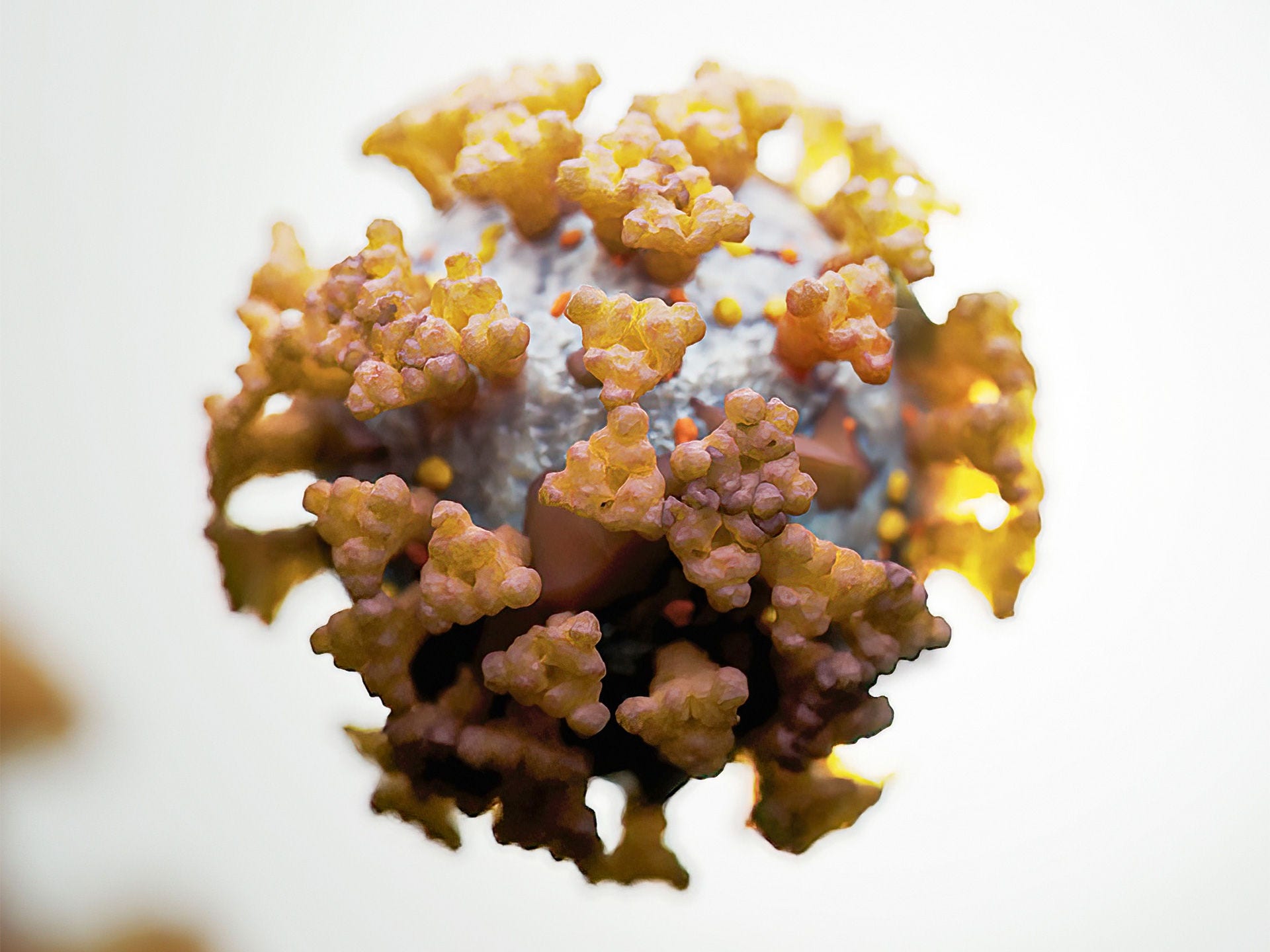 Abbildung des Coronavirus SARS-CoV-2, das die Erkrankung Corona (COVID-19) auslöst.
