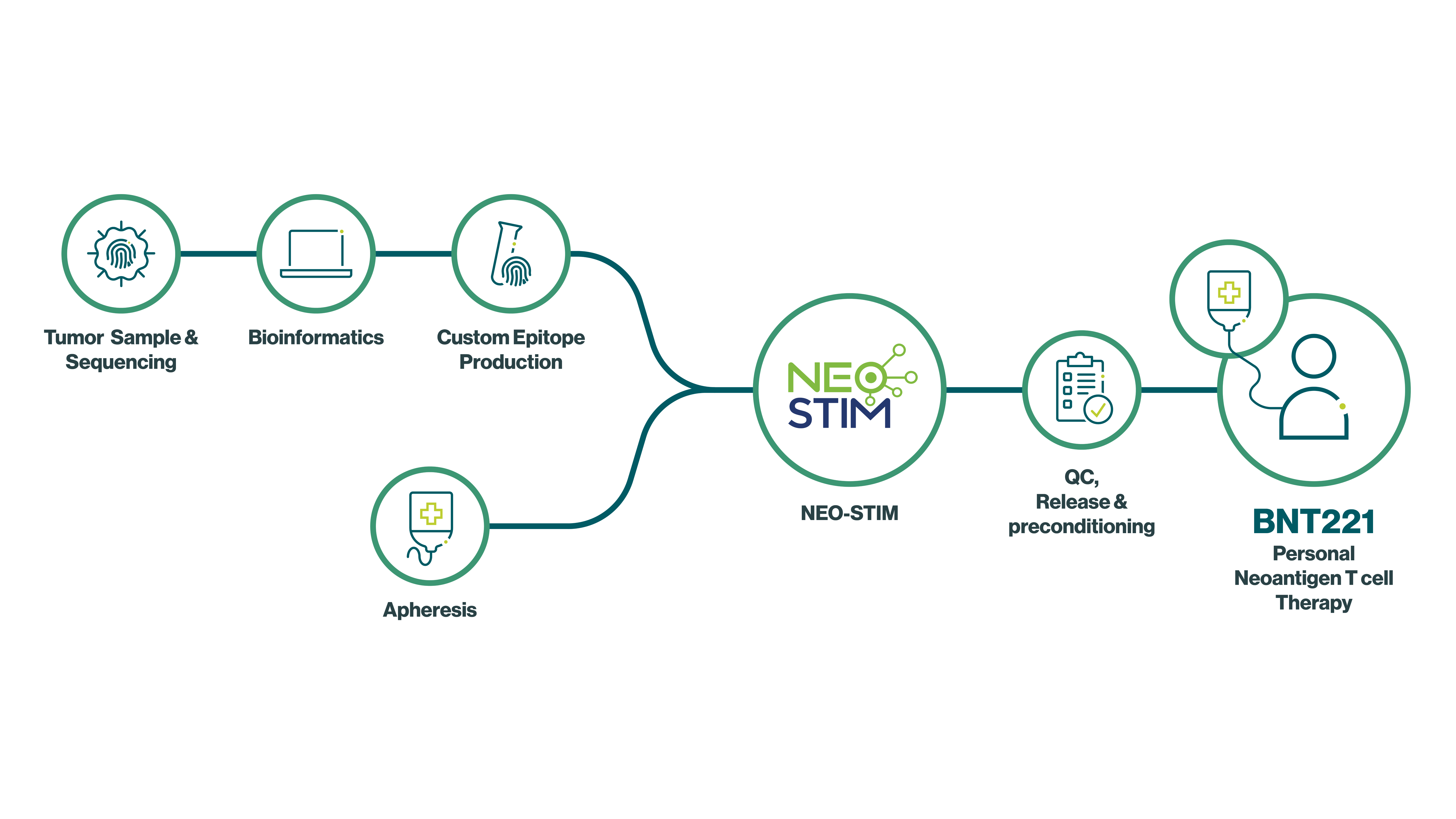 Process of individualized T-cell therapies