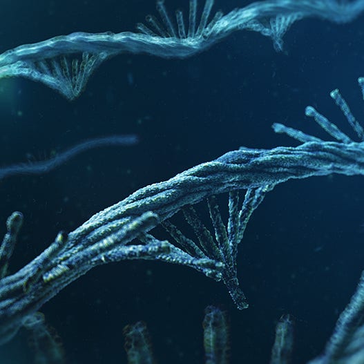 3D-Darstellung mRNA