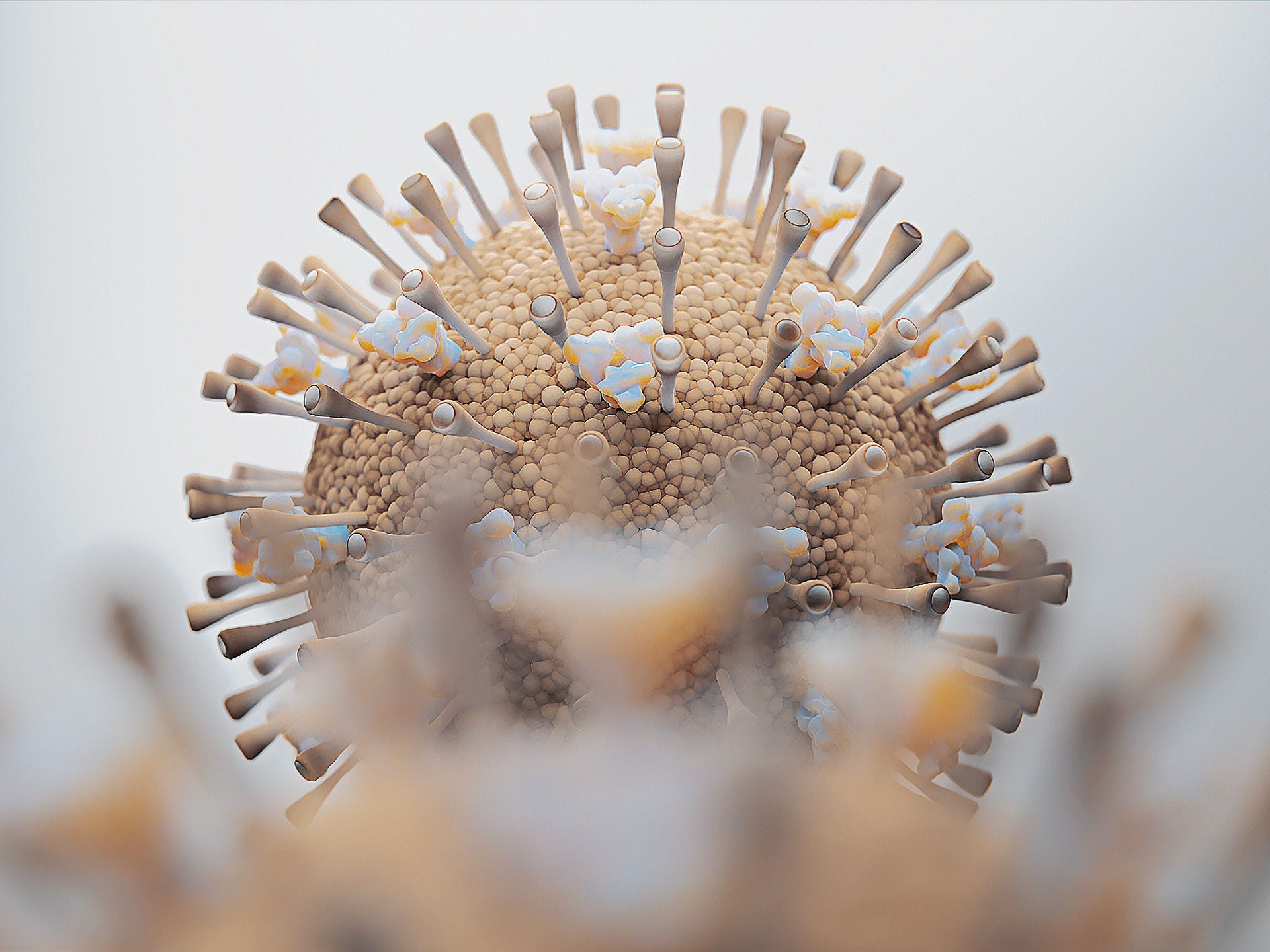 Abbildung des Influenzavirus, das die Grippe (Influenza) auslöst.