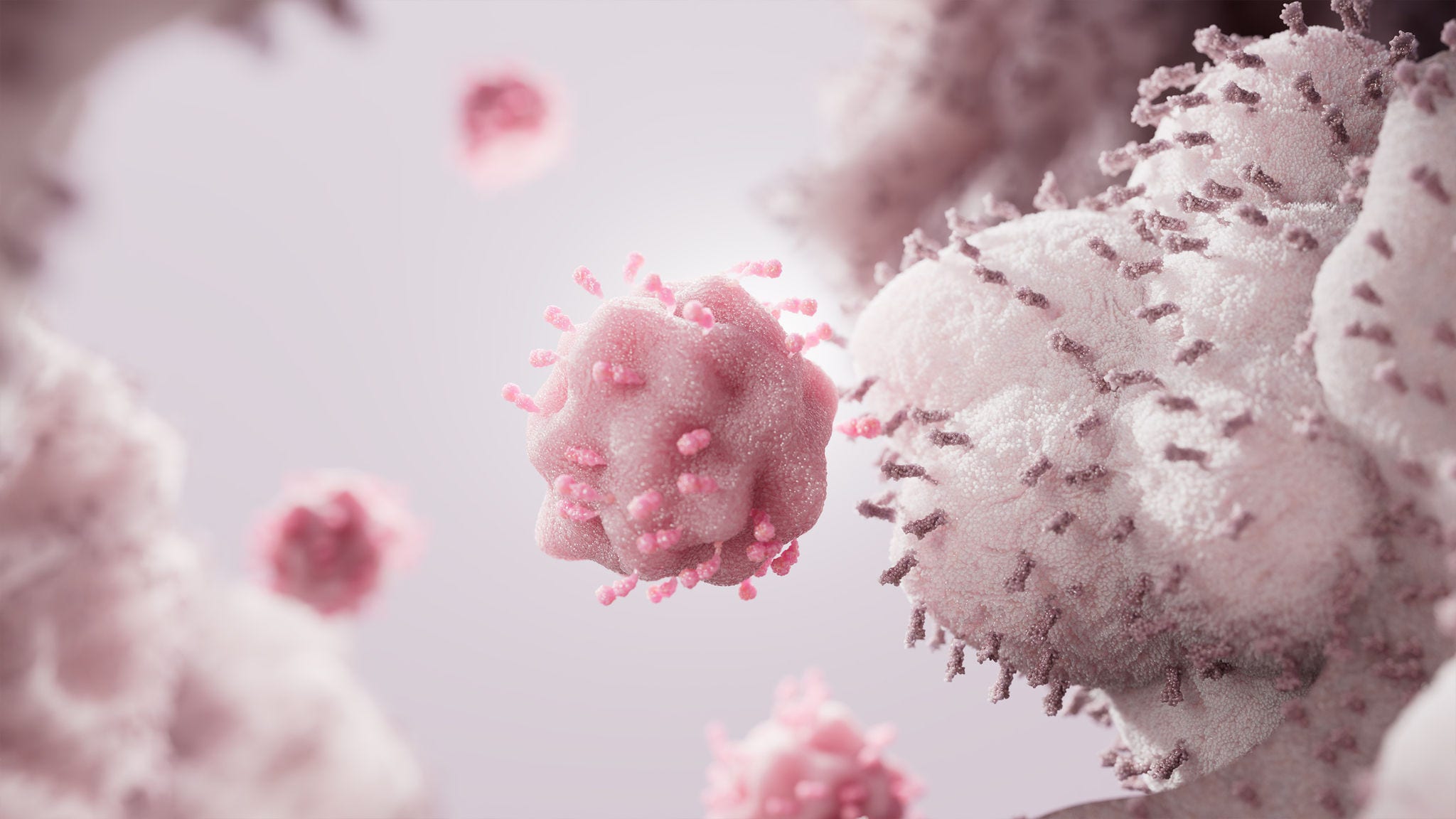 bnt-home-stage-2560x1440_CAR-T cell.jpg