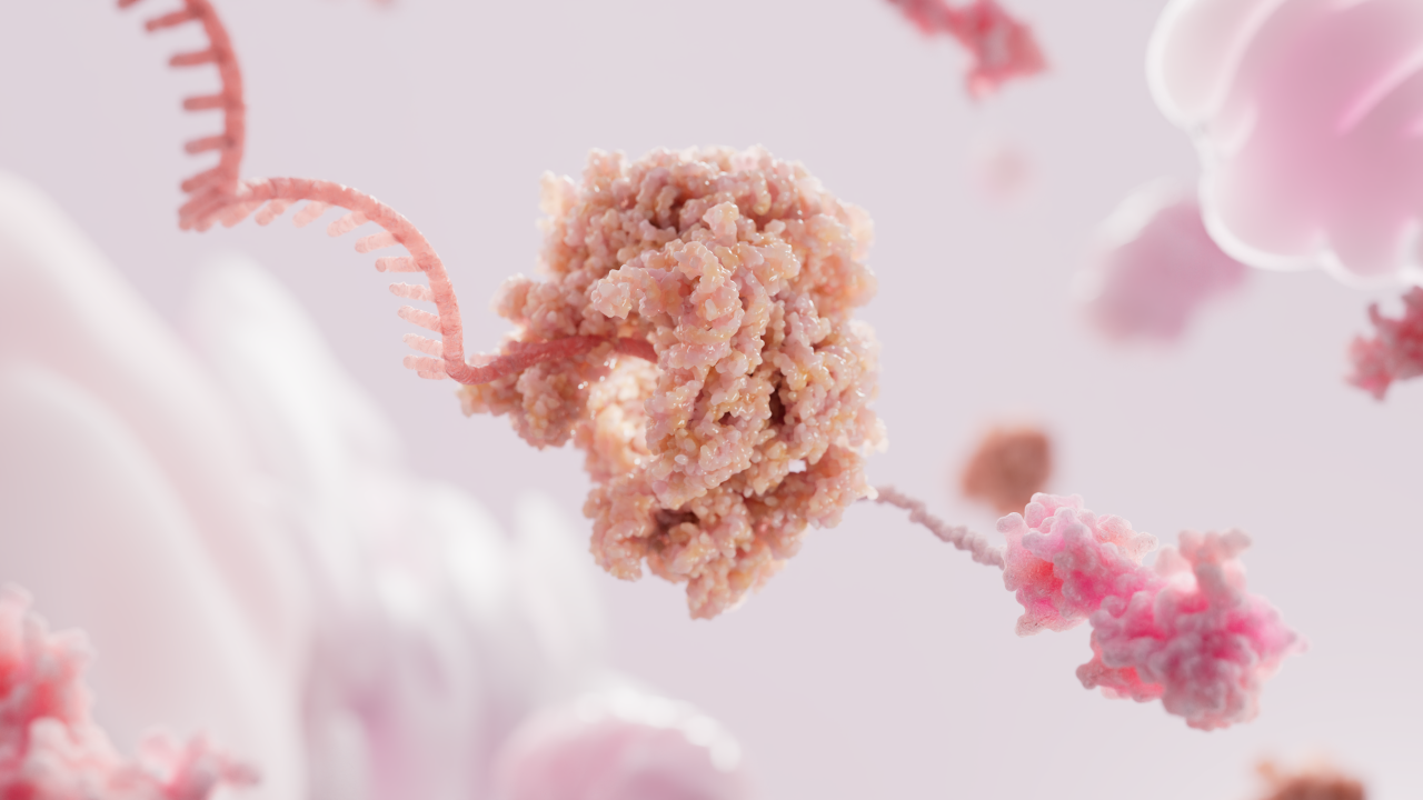 mRNA