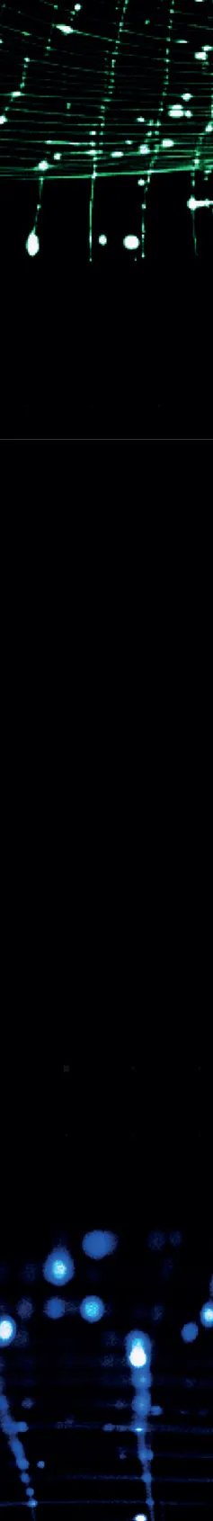 AI_PRES_TEMP_03_AL_ 410x2970