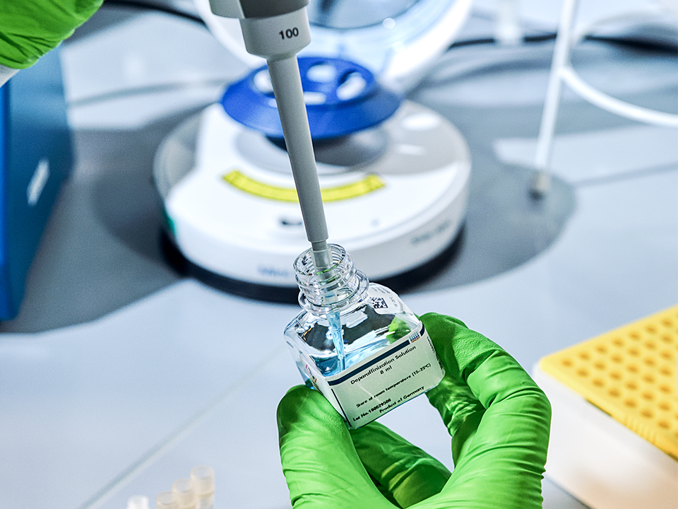 Nahaufnahme pipettieren