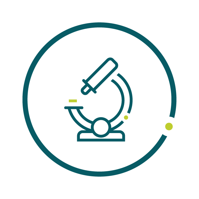 Icon Vorklinische Studien