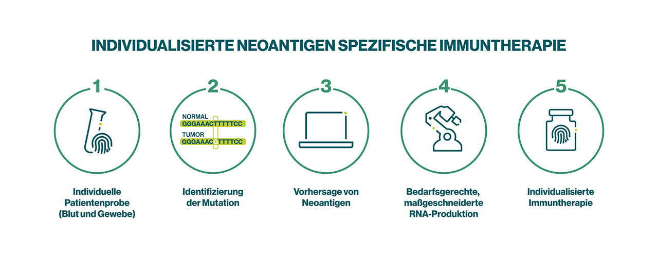 Infografik über individualisierte neoantigenspezifische Immuntherapie