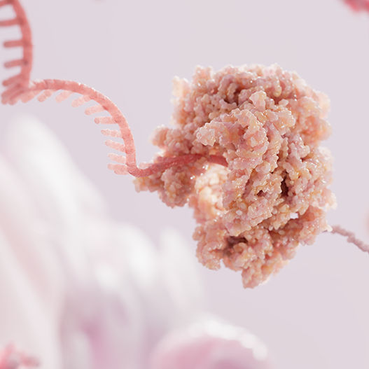 3D-Darstellung mRNA