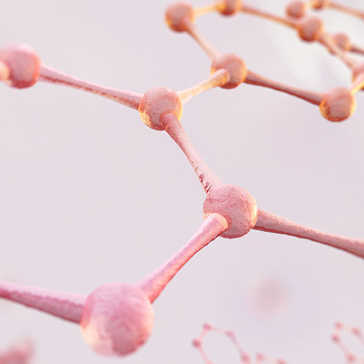 3D-Darstellung Kleinstmoleküle als Immunmodulatoren