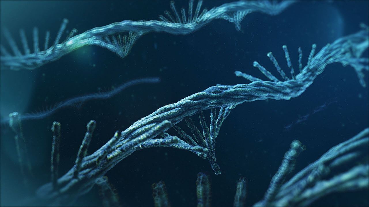3D-Darstellung mRNA