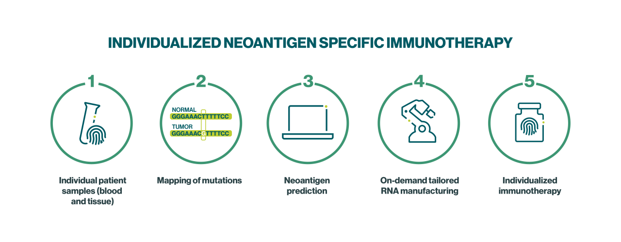 Procedure individualized neoantigen specific immunotherapy